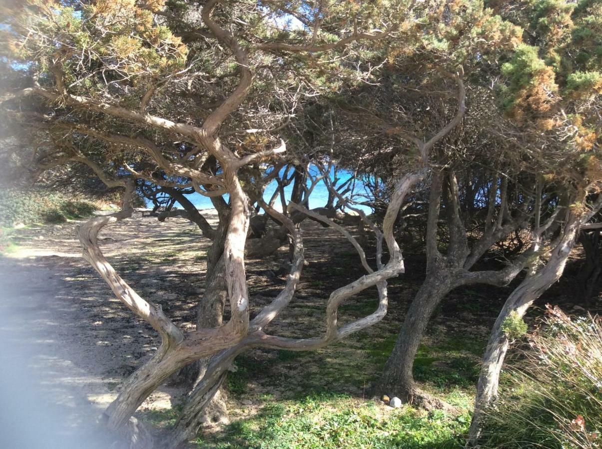 Casa Cristina Olbia Costa Smeralda Murta Maria Dış mekan fotoğraf